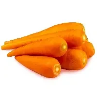 Carrot
